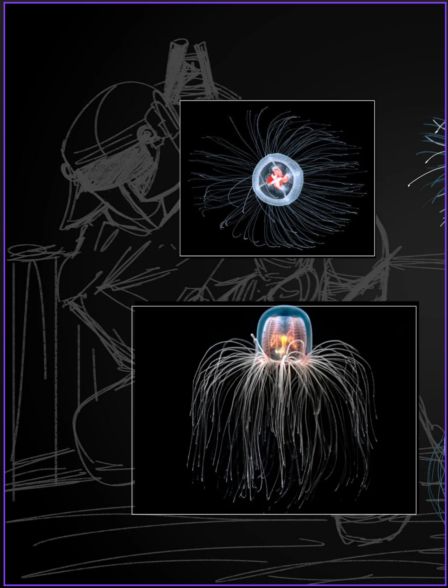 Discover image 2